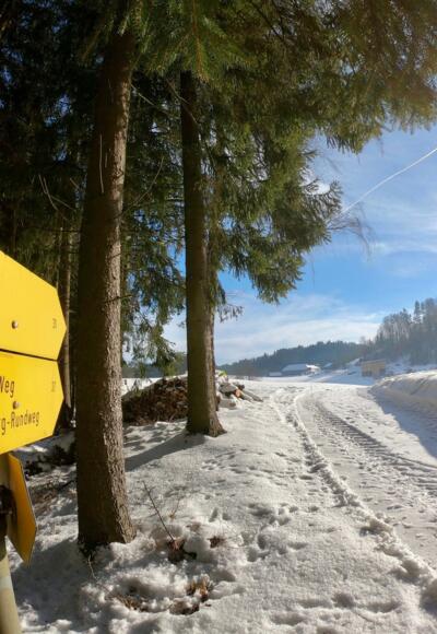 Bergkräuterweg