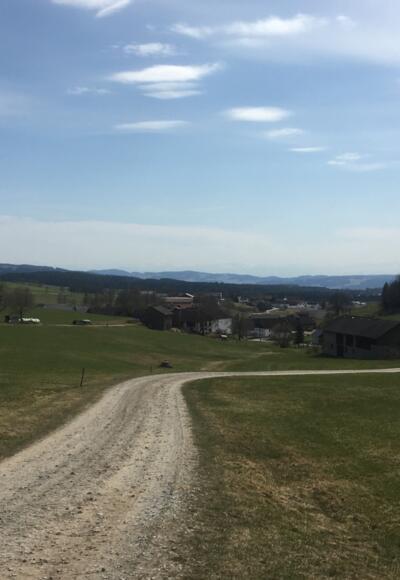 Mountainbike Runde Grünbach