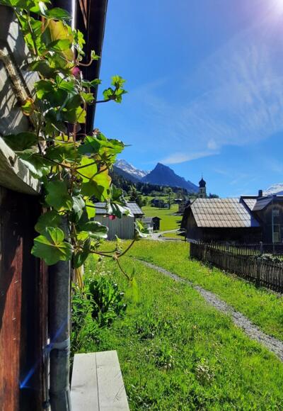 Blick taleinwärts Richtung Innerwald