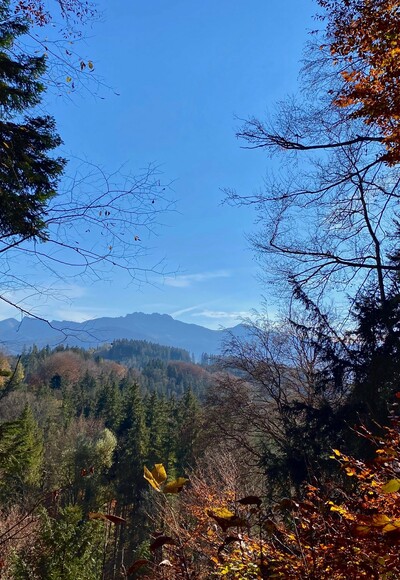 Aussicht auf die Kampenwand