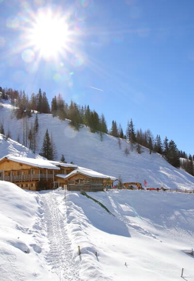 Loosbühelalm