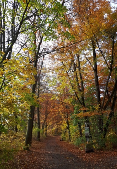 herbstliche Wege durch den Stadtpark