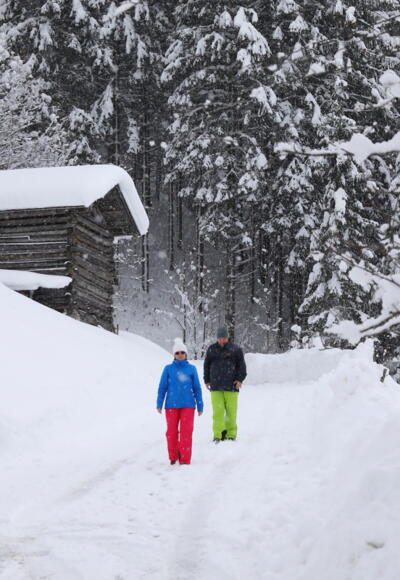 Winterwandern
