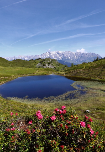 Paarseen