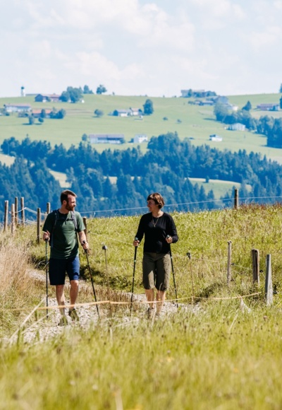 Premium-Spazierwanderweg Sonne & Weide