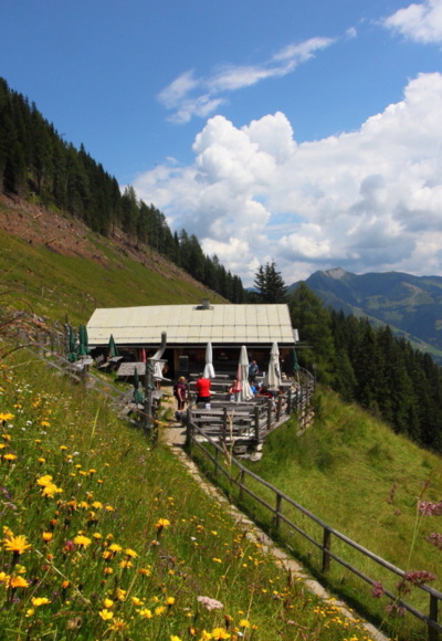 Viehhausalm