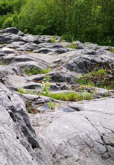Gletscherschliff Flintsbach