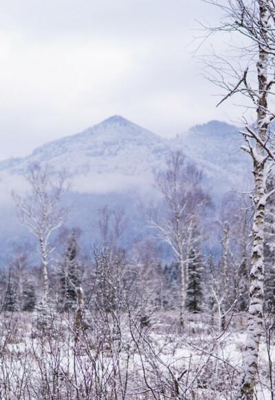 Unterwegs im Staudach-Egerndacher Moor