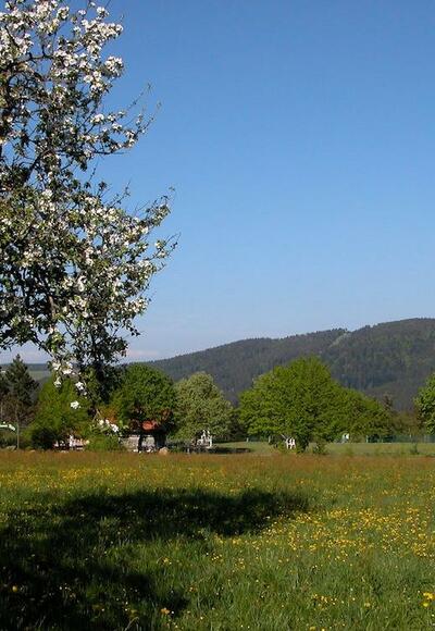 Pröller von Maibrunn