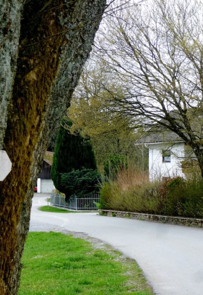 Start in Maibrunn bei der großen Linde