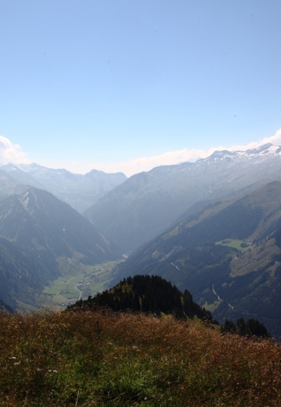 Ausblick Hundegg
