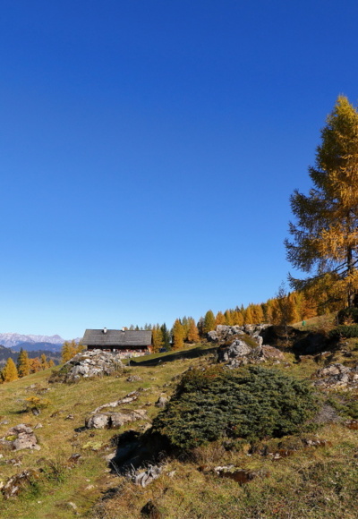 Saukaralm, 1.850 m