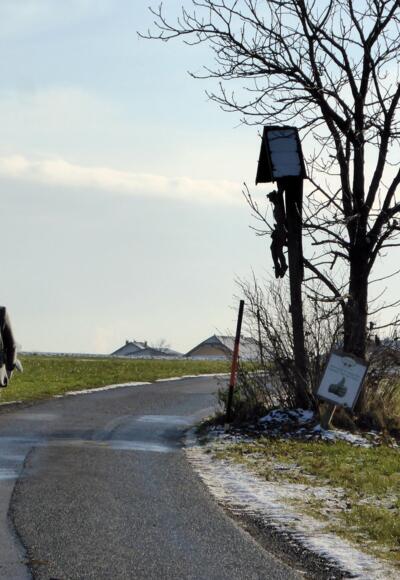 Zwischen Arnsdorf und Gunsering.