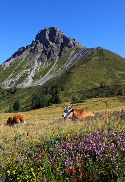 Blick auf den Draugstein