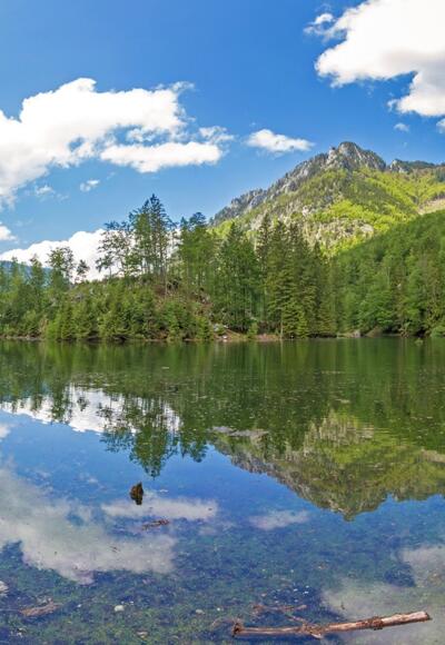 Wiesensee