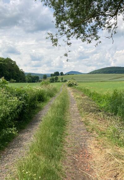 Schmetterlinge und Hundsrücken, Rhön-Rundweg 8 Oberelsbach_1