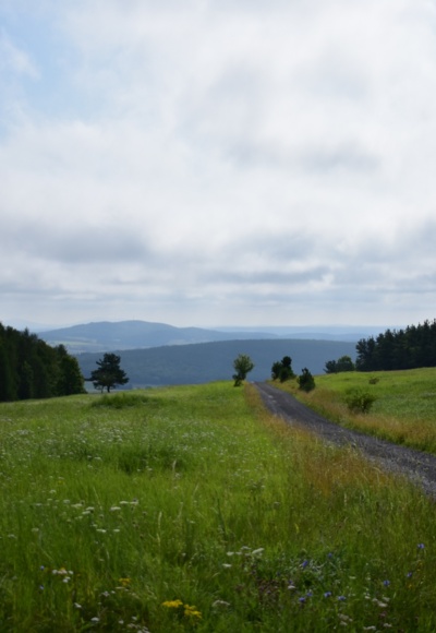 Gänsebrunnenweg, Rhön-Rundweg 4 Oberelsbach_1