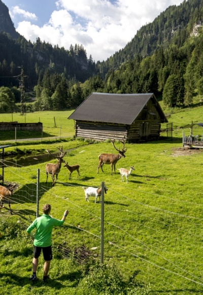 Freizeit- und Wildpark Untertauern