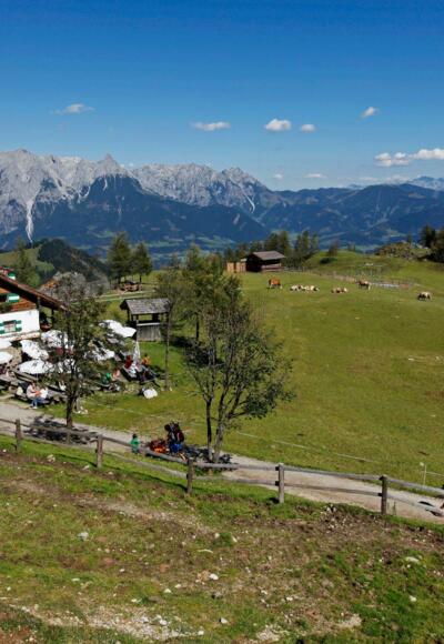 Mitterfeldalm