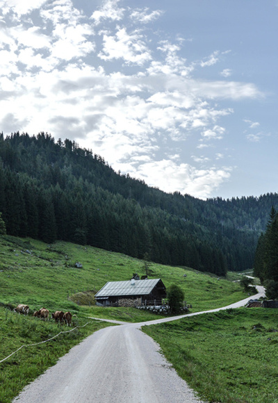 Frühmorgens auf der Schapbachalm