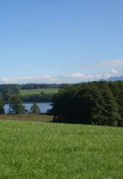 Blick auf den Tinninger See