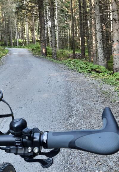 Mountainbiken