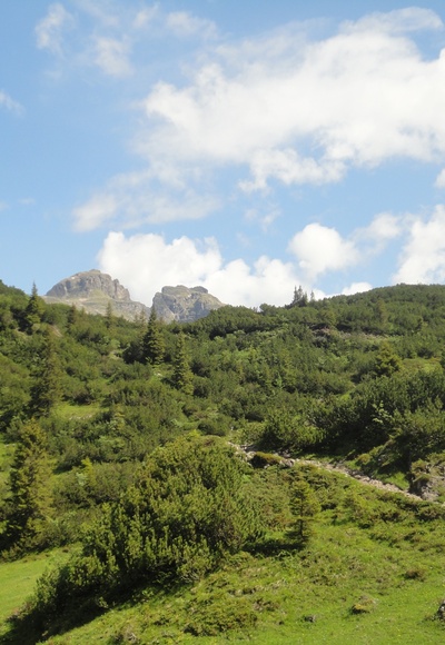Auf den Schrofenpass