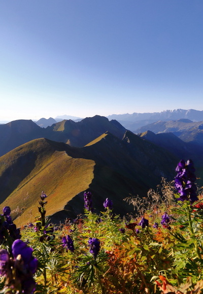 Frauenkogel