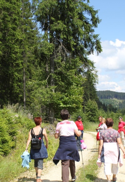 Eisenwurzenweg 608
