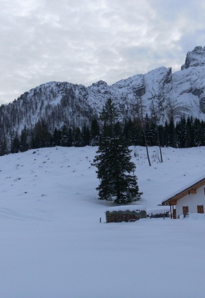 Mooslahnerkopf links und Kleiner Watzmann rechts über der Kührointalm