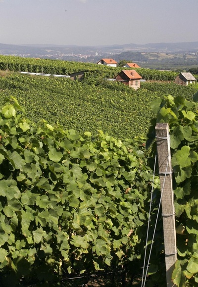 Etappe 1 von Großwallstadt nach Großostheim