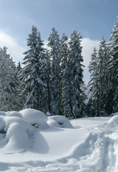 Winter in Bischofswiesen