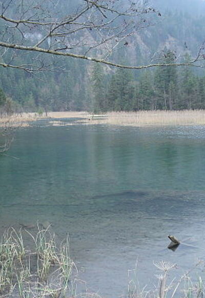 Quellteich, 7 Quellen Eschenlohe