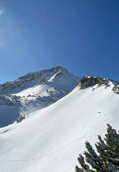 Blick zum Gipfelaufbau der Scheinbergspitze