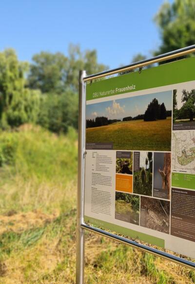 Infotafel zum Naturerbe Frauenholz bei Oberhinkofen