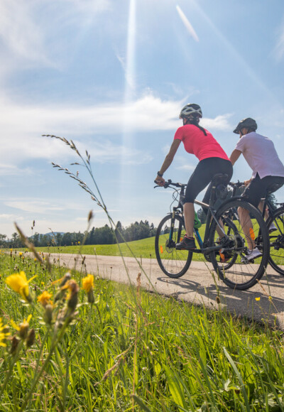 Radfahren inmitten von Natur im Landkreis Lindau (Bodensee)
