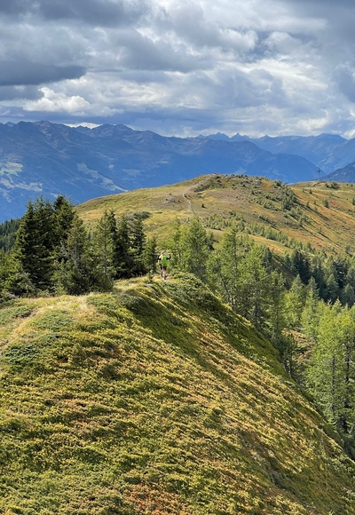 Traumhafte Heidelandschaft am Tag 4