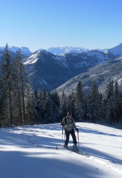SW-Panorama aus der Schneise