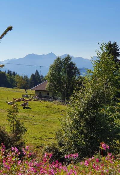 Samerberg Hochries Weg zur Mittelstation