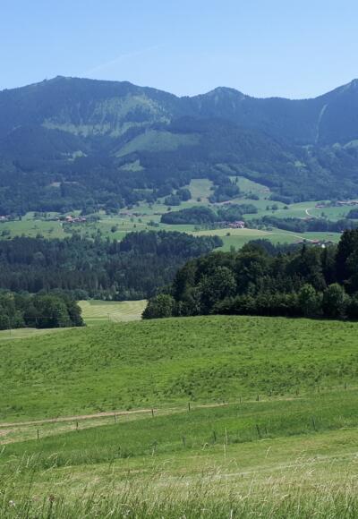 Samerberg - Blick Hochries/Karkopf/Feichteck oberhalb Geisenkam/Weikersing