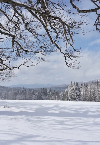 Hochschachten mit Blick zum Großen Arber (1456 m)