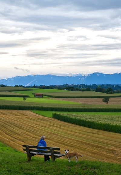 Schöner Blick vom Gögerl in die Alpen