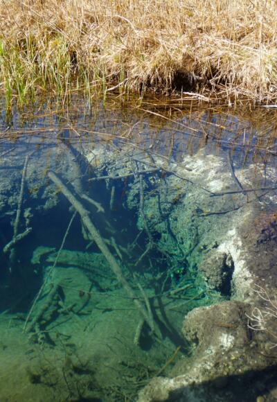 Durch das klare Wasser ist der trichterförmige Quelltopf vom Steg aus gut zu erkennen.