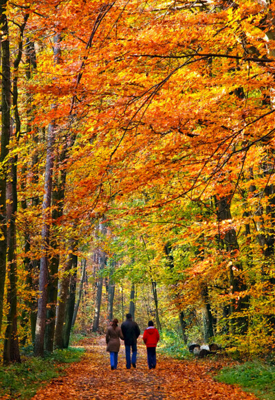 Wandern im Rodachtal