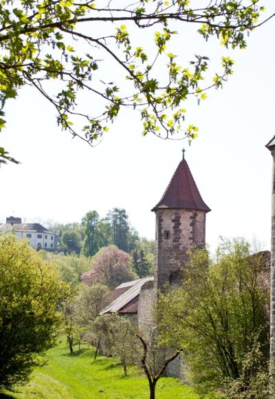 Stadtmauer Seßlach