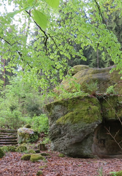 Auf dem Querkelsteinweg