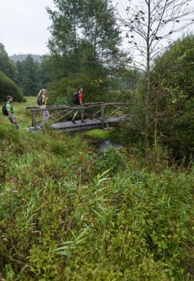Wanderung durchs Hafenlohrtal