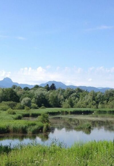 Tonwerkweiher Kolbermoor mit Alpenblick
