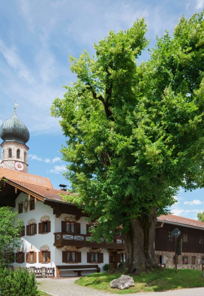 Warngau
