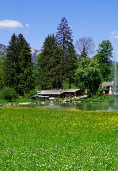 Kochelberg-Alm